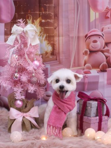 20241230うららちゃん